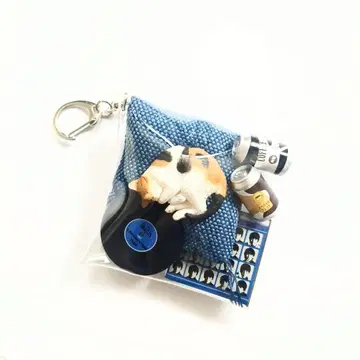 가챠 파우치 고양이 고양이 고양이 삼색 고양이 낮잠 레코드 미니어처