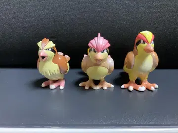 포켓몬 몬코레 꼬렛 피죤 피죤투