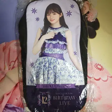 노기자카46 카와사키 사쿠라 스틱 라이트 파우치