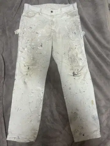 Dickies x Sherwin Williams 페인터 팬츠