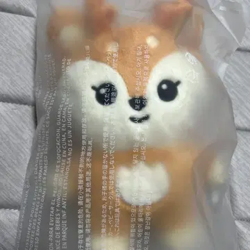 miniteen SHUASUMI 조슈아