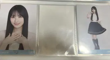 노기자카46 카와사키 벚꽃 라이브 T셔츠 카가와 요리 히키 세미네이비