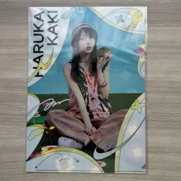 익명 배송 품절 임박 카키 하루카 클리어 파일