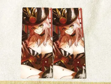 FGO 최종 재림전 어둠의 코얀스카야 카드