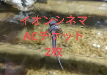 이온 시네마 AC 티켓 2매