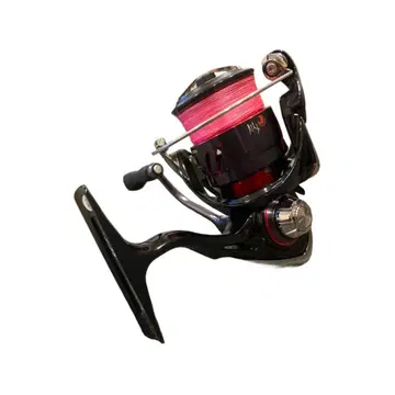 다이와 DAIWA 글로브라이드 24 월하미인 LT2000S 선착순