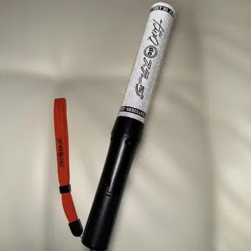 카리스마 de 스테이지 카리de스테 카리스테 응원봉