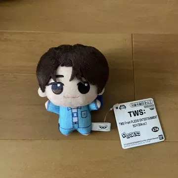 TWS SD 인형 시뉴 SHINYU 신유