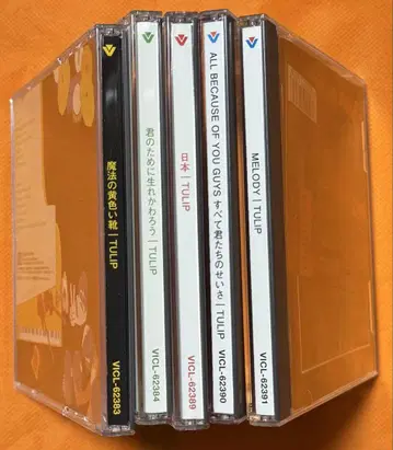 TULIP 튤립 CD 5매 세트