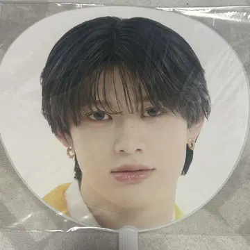 BUDDiiS FUMINORI EBiDAN 에비라이 부채 2025