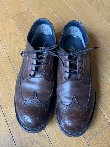REGAL x nonnative 윙팁 25 고어텍스