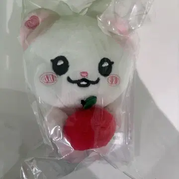 itzy 유나 백참