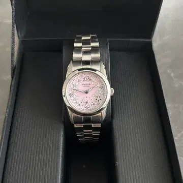 시티즌 CITIZEN WICCA