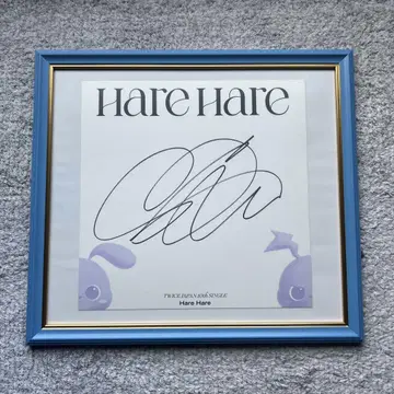 twice 사인회 사나 친필 사인 hare hare