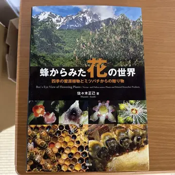 벌이 바라본 꽃의 세계 / 사사키 마사미 저 (가이유샤)