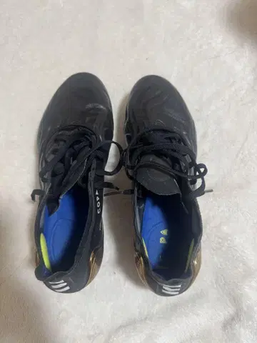 코파센스1