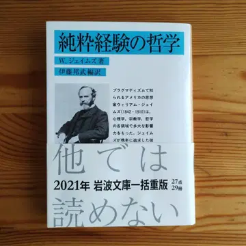 순수 경험의 철학
