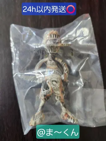 원피스 LUFFY's 모험의 기억 Vol.1 수배서 신사황 니카 프린트