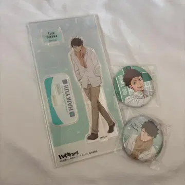 하이큐!! 오이카와 토오루
