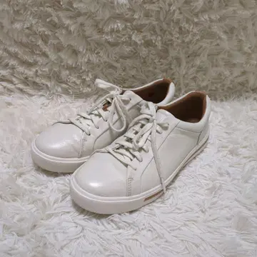 [새상품급] 클락스 앰마윌리 레이스 (화이트 가죽) UK6 24.5cm