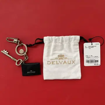 미사용품 DELVAUX 키링 가죽 케이스 포함