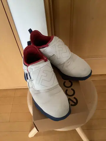풋조이 골프화 (화이트) 26cm