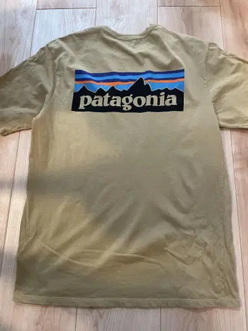 [ 당일 또는 익일 발송 ] 파타고니아 patagonia 베이지 티셔츠