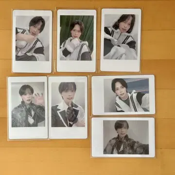 ReLIT 아사가 타츠루 하피카