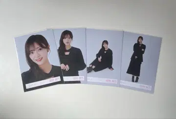 모드 코디 타무라 호노