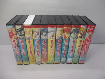 VHS 비디오테이프 큐티하니 F 플래시 엉성한 11권