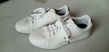 Lacoste 화이트 스니커즈
