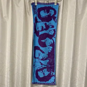 사잔 올스타즈 타월 2019 라이브 투어