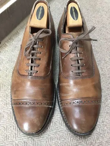 Allen Edmonds 브라운 fifth avenue 9D