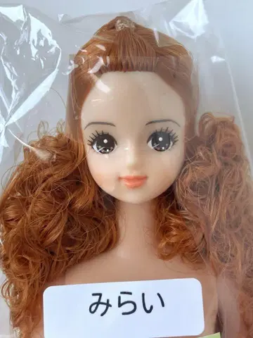 오타노시미 돌 미라이 리카짱 캐슬