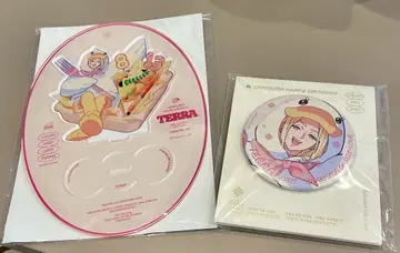 카리스마 2025 벌스데이 아크릴 스탠드 테라