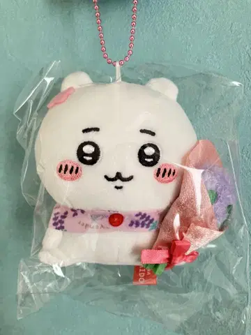 홋카이도 한정 치이카와 [라벤더]