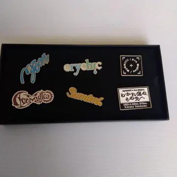MyGO Ave Mujica 갈림길, 그 너머로 특전 핀즈 세트