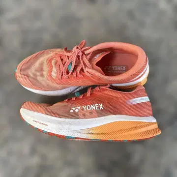 요넥스 카본 크루즈 24.5cm