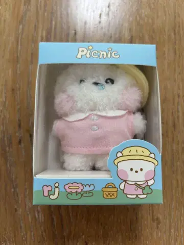 BT21 mini minini 봉제 인형 (PICNIC) RJ