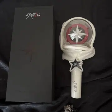 Stray Kids 응원봉 ver.2