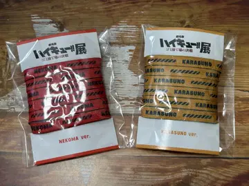 하이큐!! 슈레이스