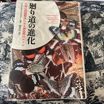 우회로의 진화 : 생명 문제 해결에서 보는 창조성의 규칙
