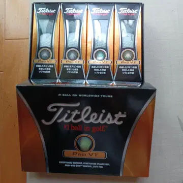 Titleist Pro V1 골프공 12개입