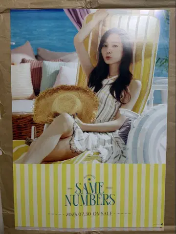 우메자와 미나미 SAME NUMBERS 포스터