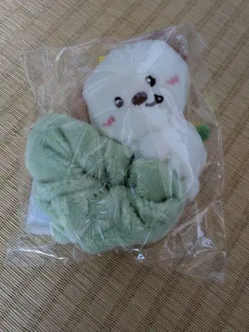 RIIZE 앤톤 스크런치