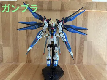 RG 스트라이크 프리덤 건담 건담 프라모델 조립 완료