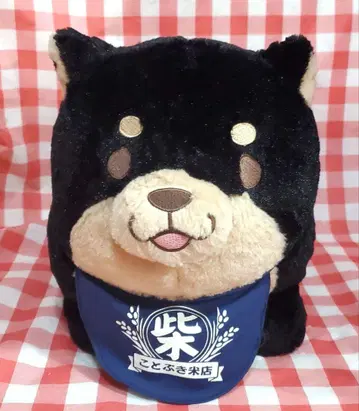 충견 모찌시바 엄청 큰 BIG 봉제인형 깨