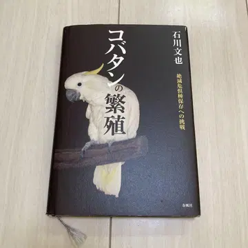 코바탄의 번식 : 멸종 위기종 보존을 향한 도전