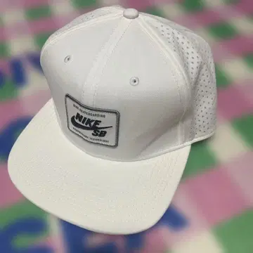 NIKE SB 캡