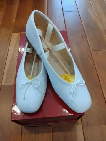 Opera national de paris 발레 슈즈